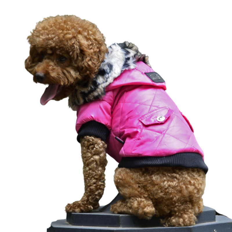 Chic Dog Winter Coat with Elegant Fur Collar – Perfect for Keeping Your Pet Cozy and Fashionable in Cold Weather