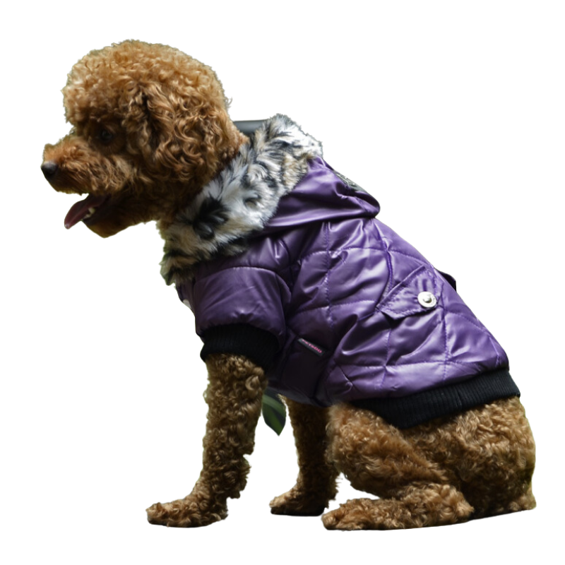 Chic Dog Winter Coat with Elegant Fur Collar – Perfect for Keeping Your Pet Cozy and Fashionable in Cold Weather