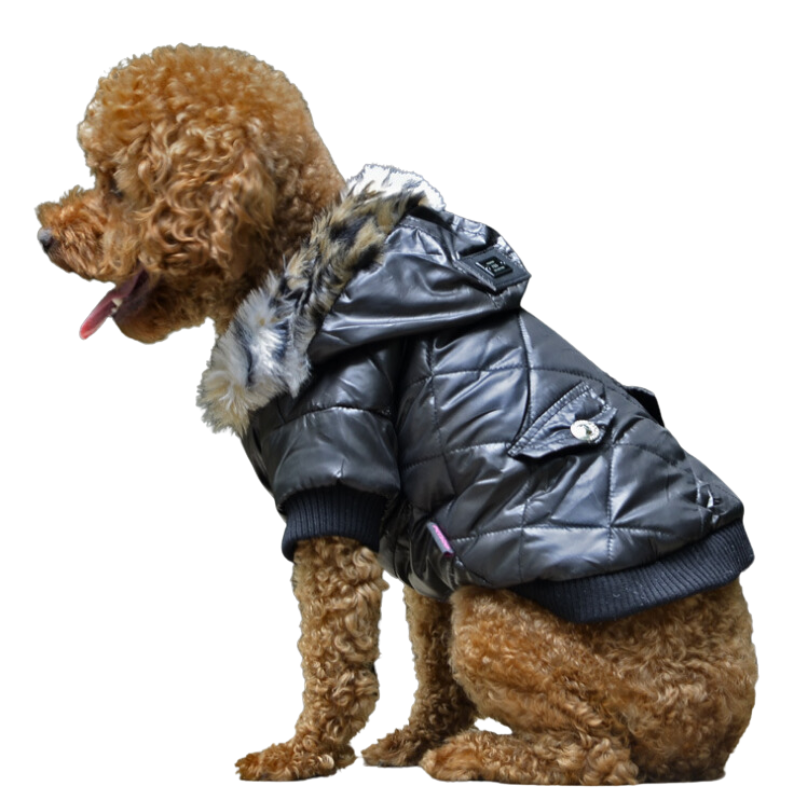 Chic Dog Winter Coat with Elegant Fur Collar – Perfect for Keeping Your Pet Cozy and Fashionable in Cold Weather