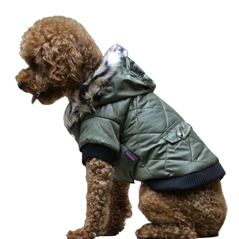 Chic Dog Winter Coat with Elegant Fur Collar – Perfect for Keeping Your Pet Cozy and Fashionable in Cold Weather